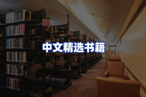 中文精选书籍